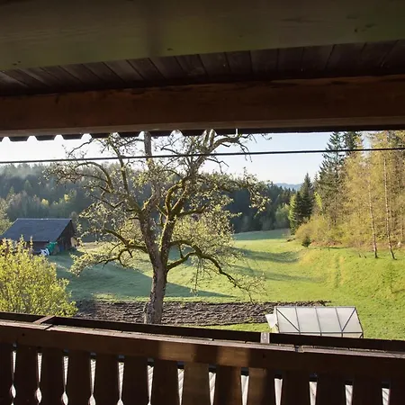 Sundara Prana Koprivnik v Bohinju